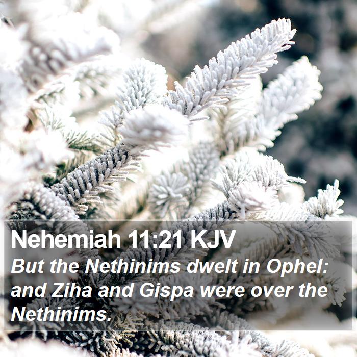 Nehemiah 11:21 KJV Bible Study