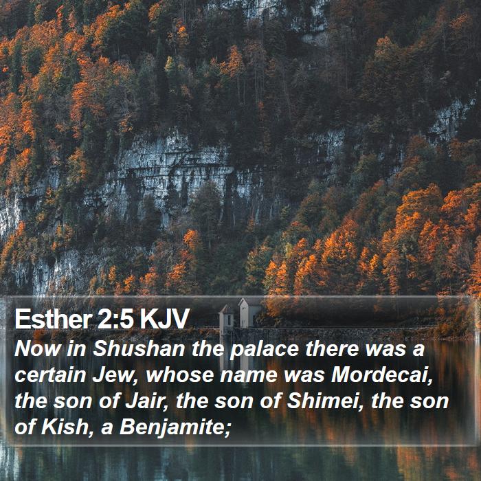 Esther 2:5 KJV Bible Study