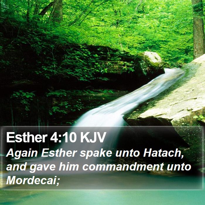 Esther 4:10 KJV Bible Study
