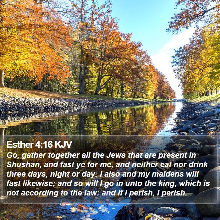 Esther 4:16 KJV Bible Study