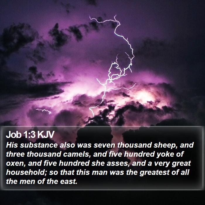 Job 1:3 KJV Bible Study