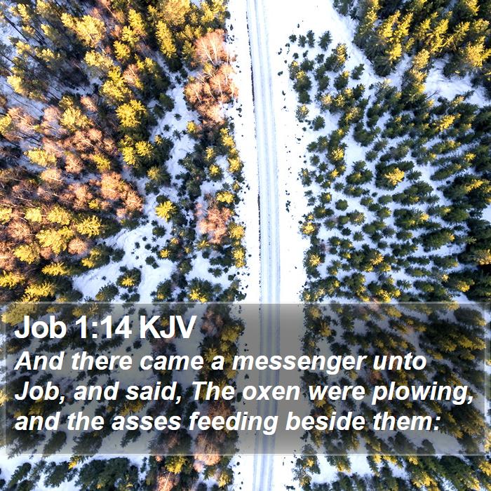 Job 1:14 KJV Bible Study