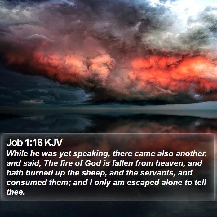 Job 1:16 KJV Bible Study