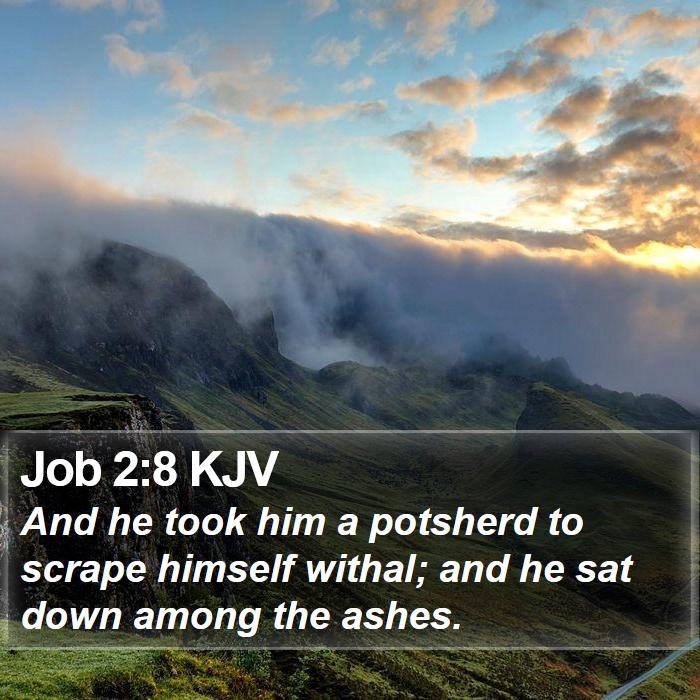 Job 2:8 KJV Bible Study