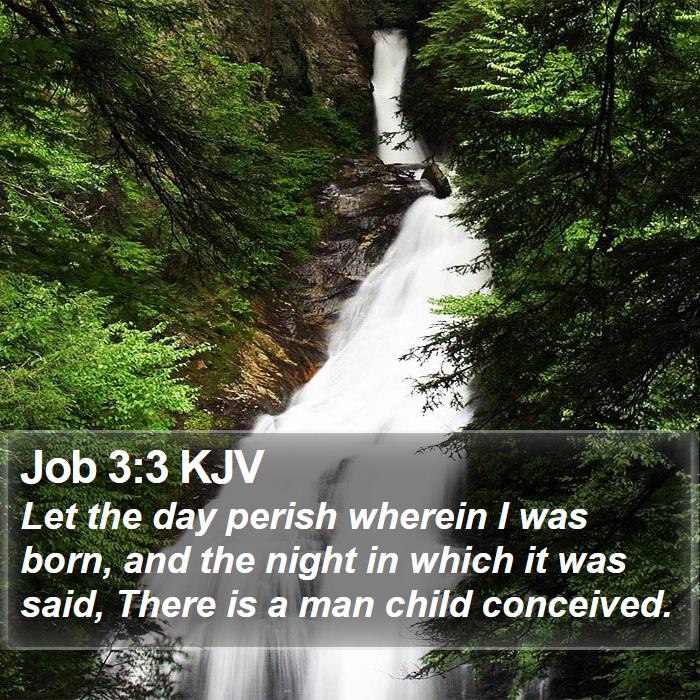 Job 3:3 KJV Bible Study