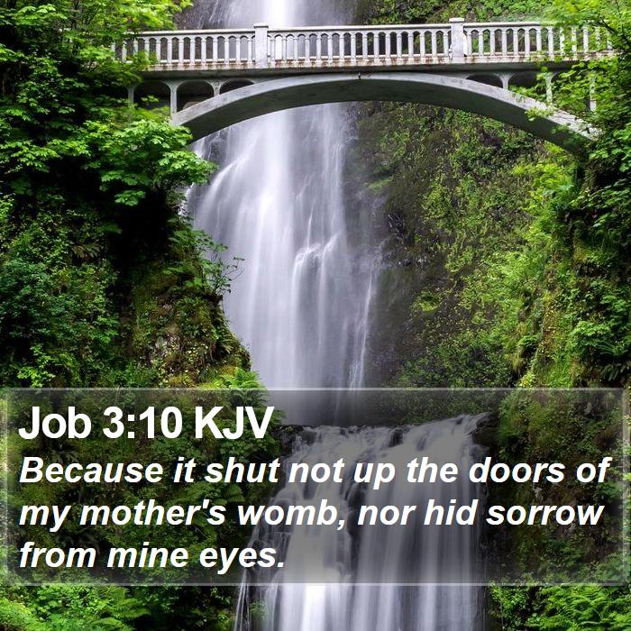 Job 3:10 KJV Bible Study