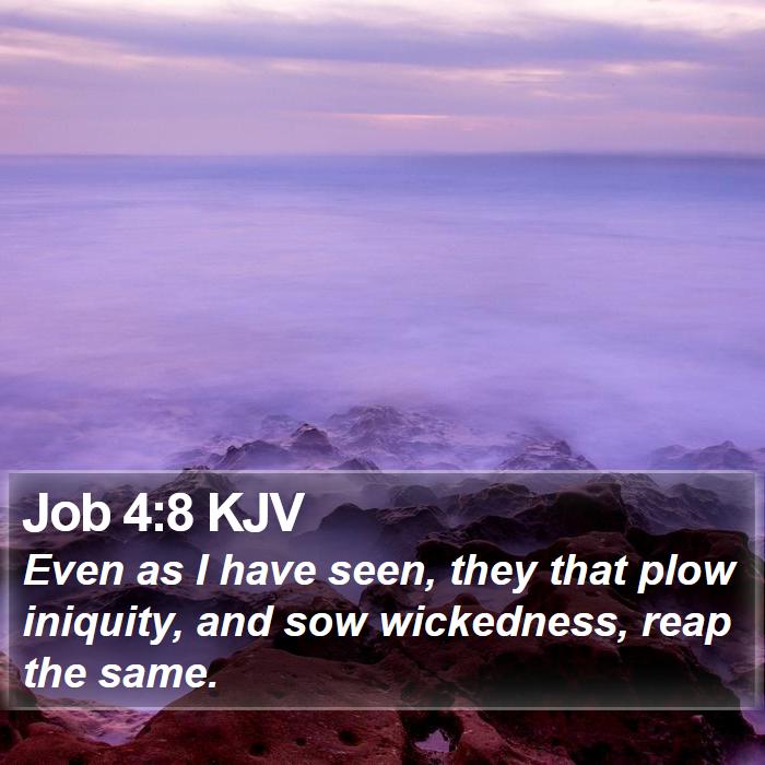 Job 4:8 KJV Bible Study