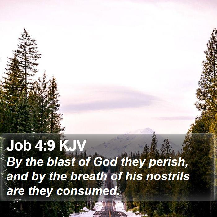 Job 4:9 KJV Bible Study