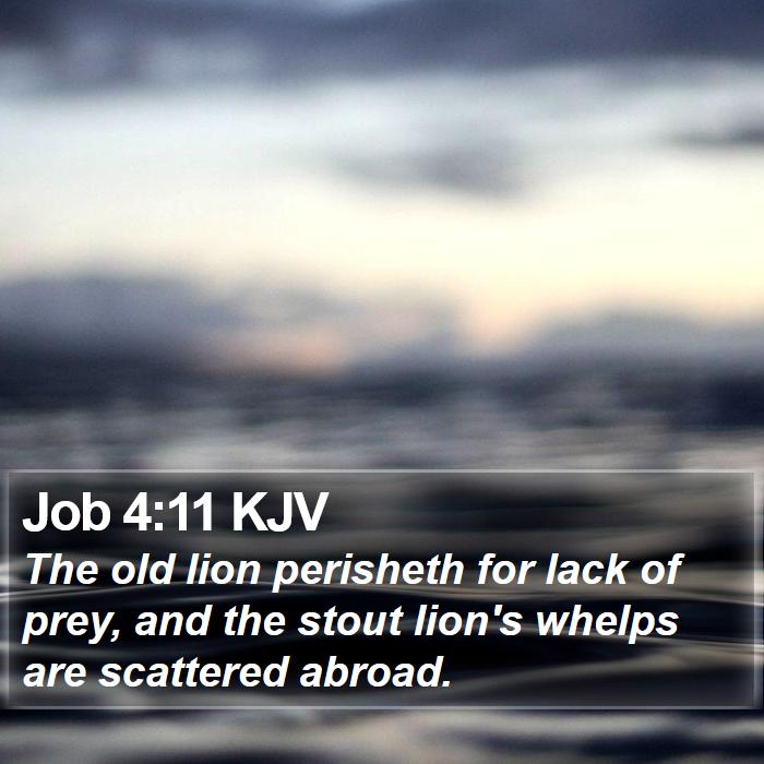 Job 4:11 KJV Bible Study