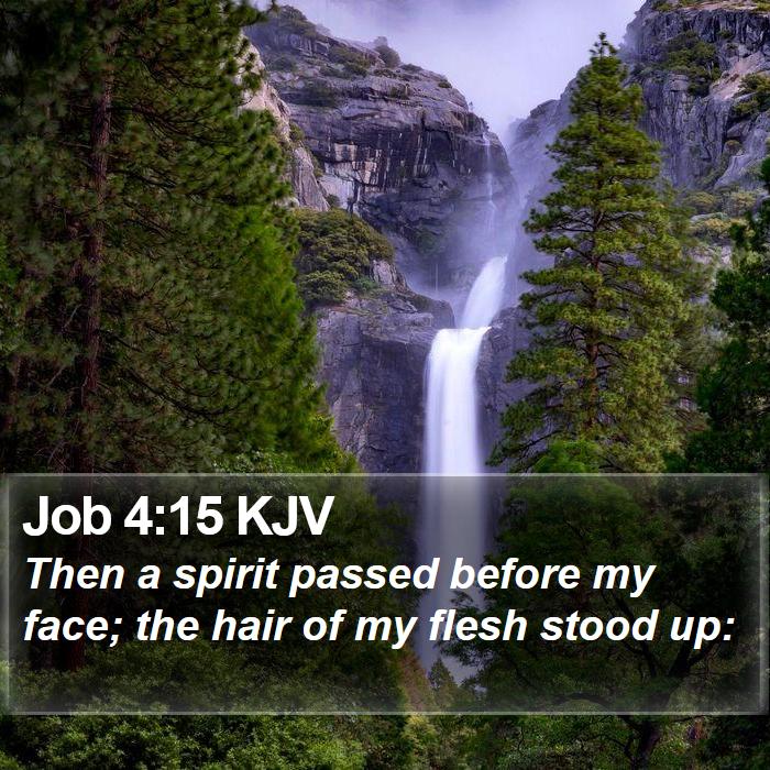 Job 4:15 KJV Bible Study