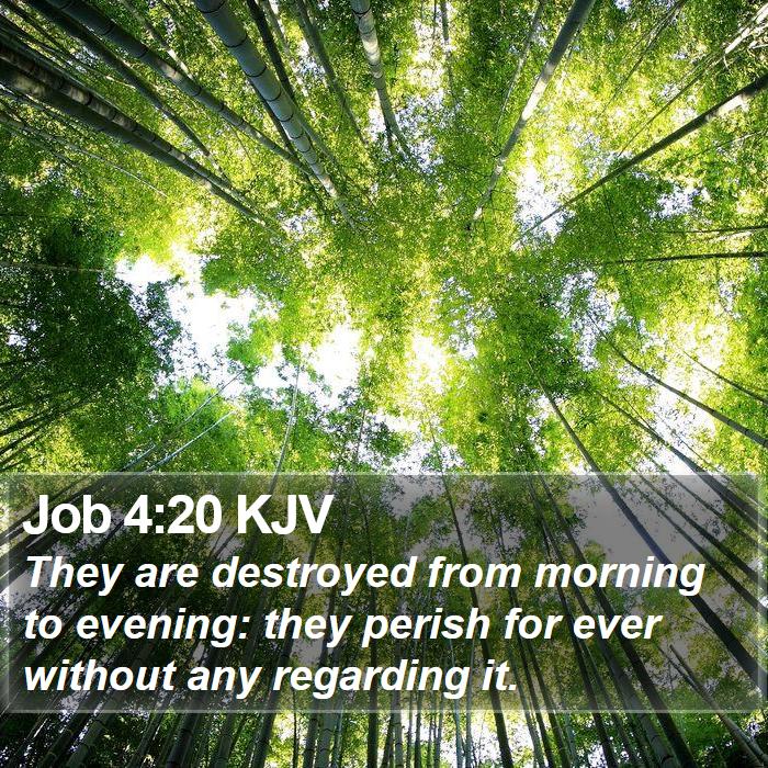 Job 4:20 KJV Bible Study