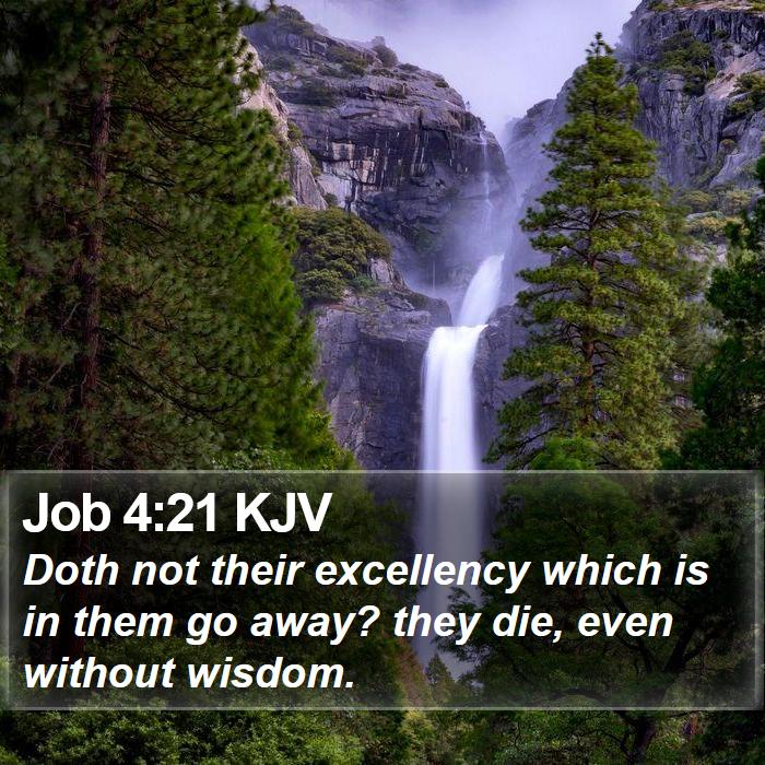 Job 4:21 KJV Bible Study