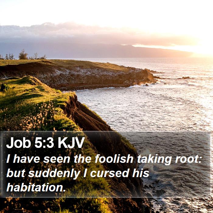 Job 5:3 KJV Bible Study