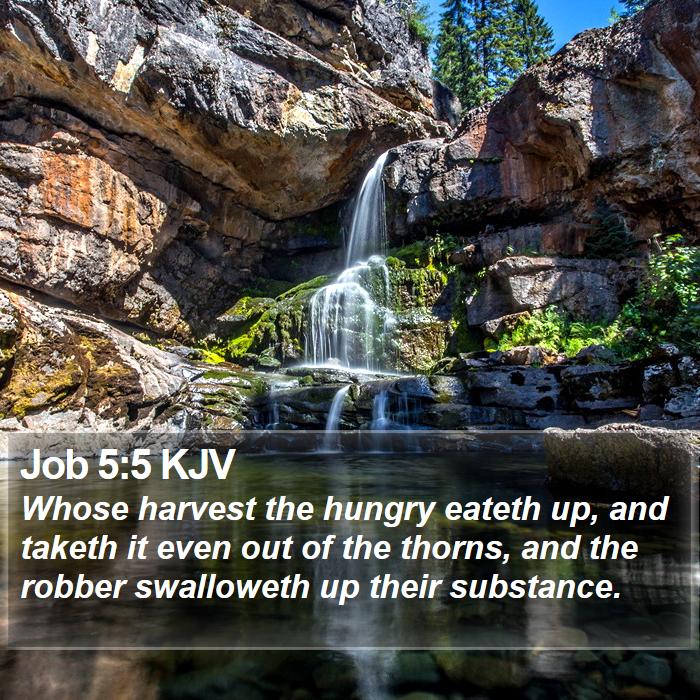 Job 5:5 KJV Bible Study