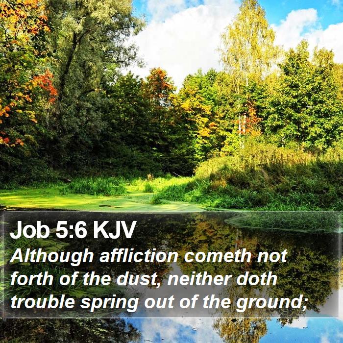 Job 5:6 KJV Bible Study