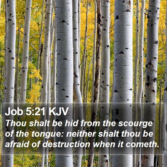 Job 5:21 KJV Bible Study