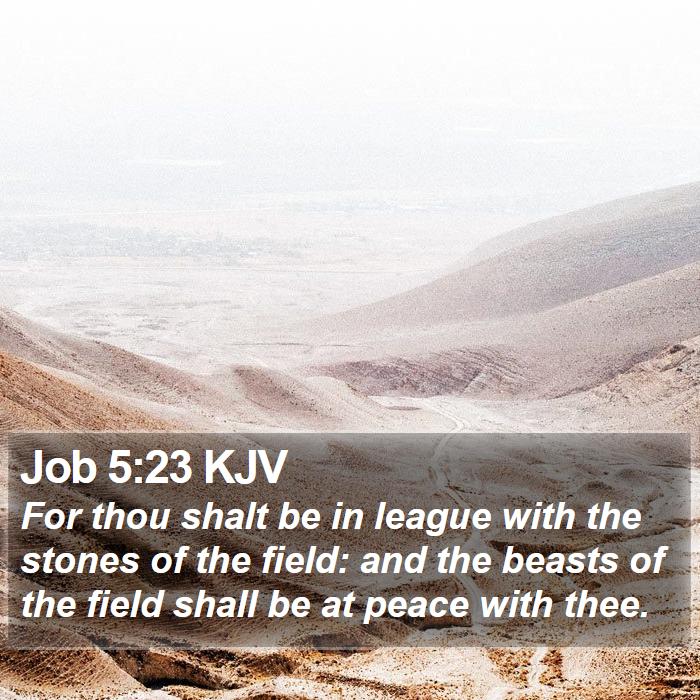 Job 5:23 KJV Bible Study