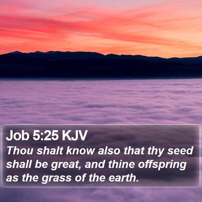 Job 5:25 KJV Bible Study