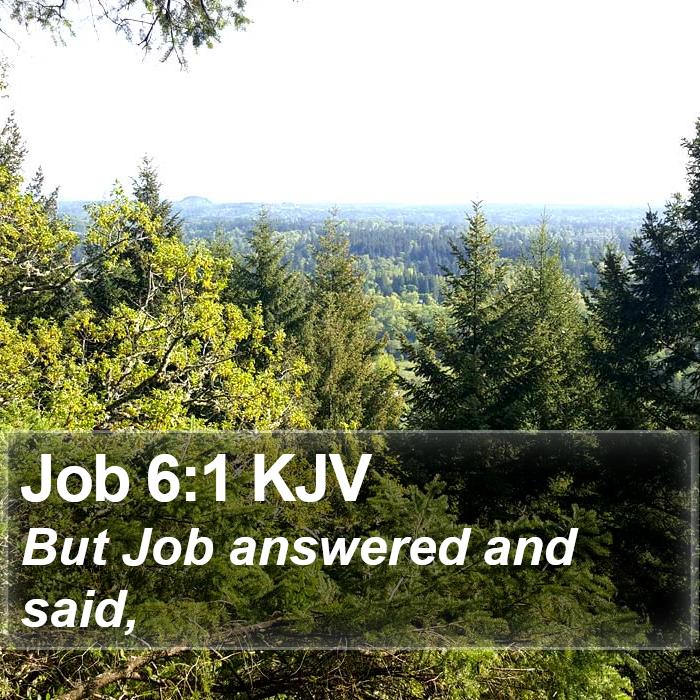 Job 6:1 KJV Bible Study