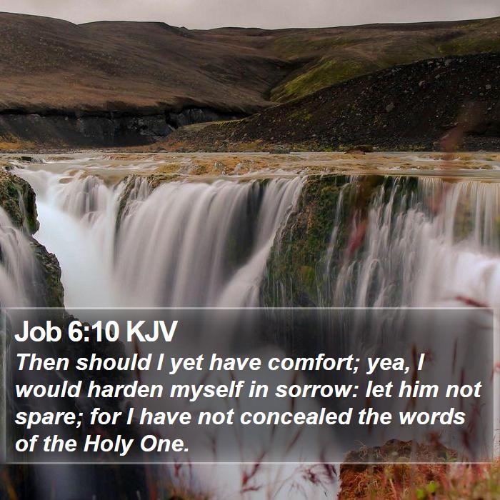 Job 6:10 KJV Bible Study