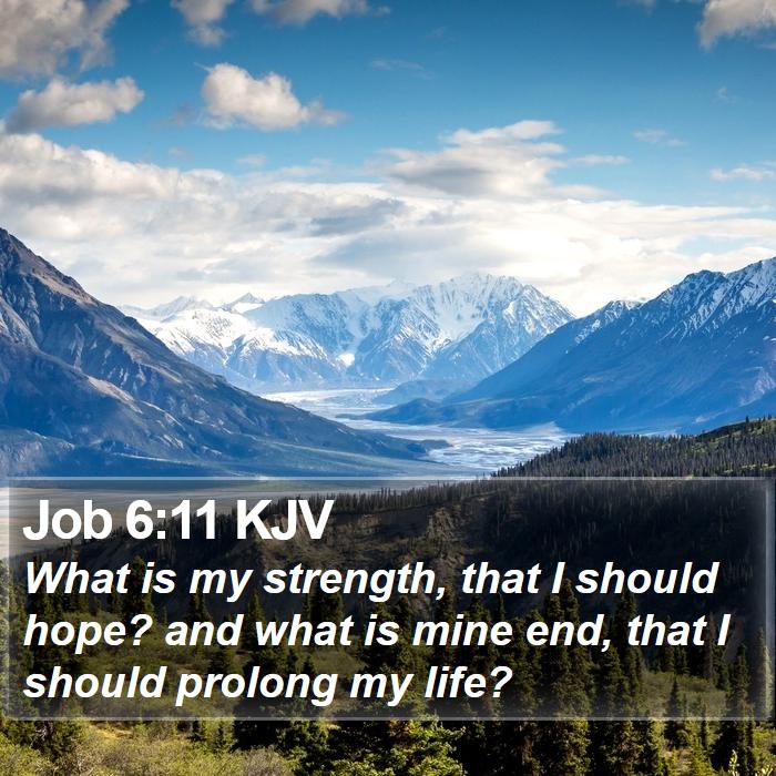 Job 6:11 KJV Bible Study