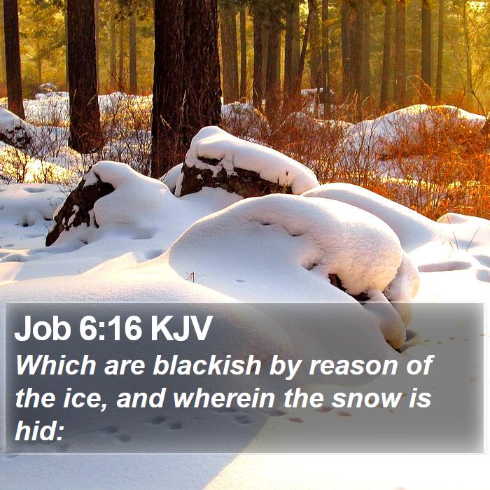 Job 6:16 KJV Bible Study