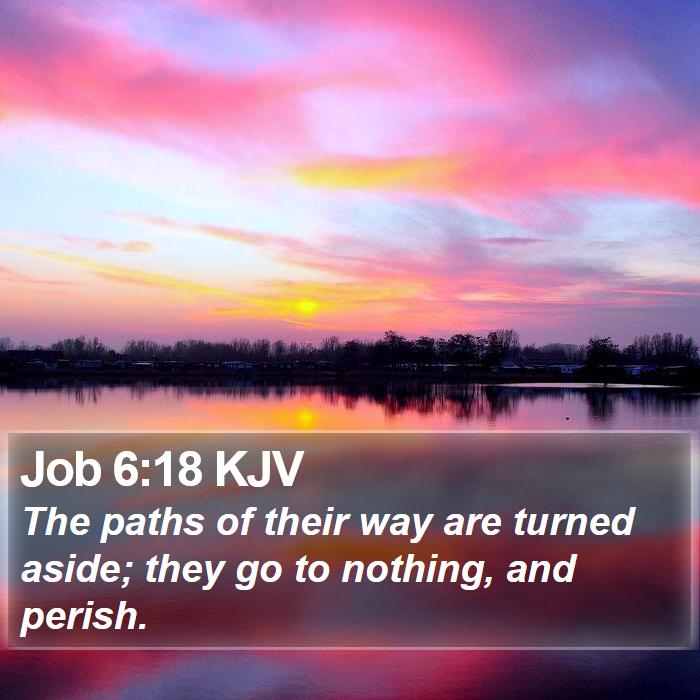 Job 6:18 KJV Bible Study