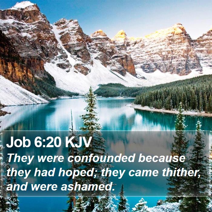 Job 6:20 KJV Bible Study