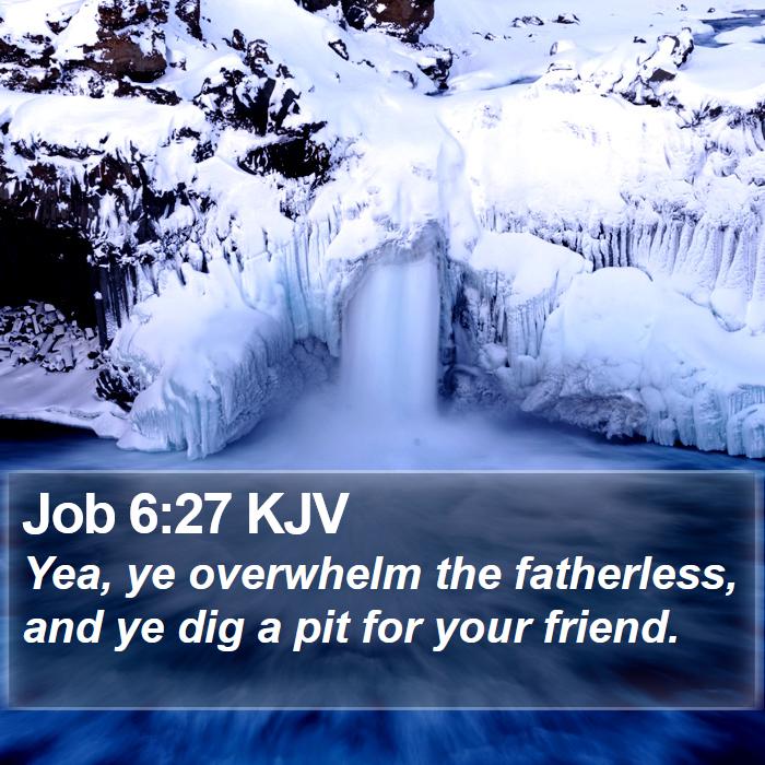 Job 6:27 KJV Bible Study