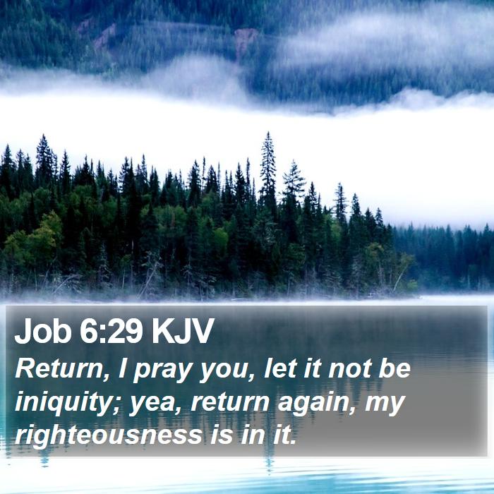 Job 6:29 KJV Bible Study