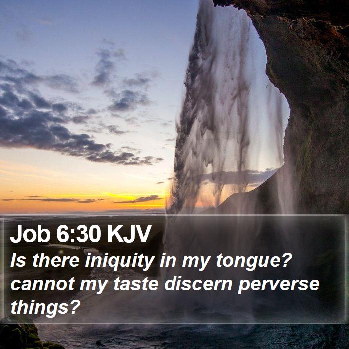 Job 6:30 KJV Bible Study