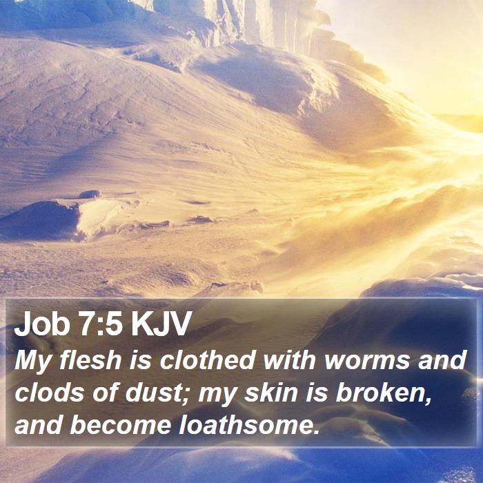 Job 7:5 KJV Bible Study