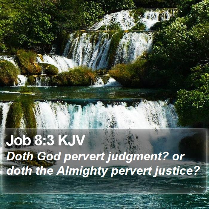 Job 8:3 KJV Bible Study