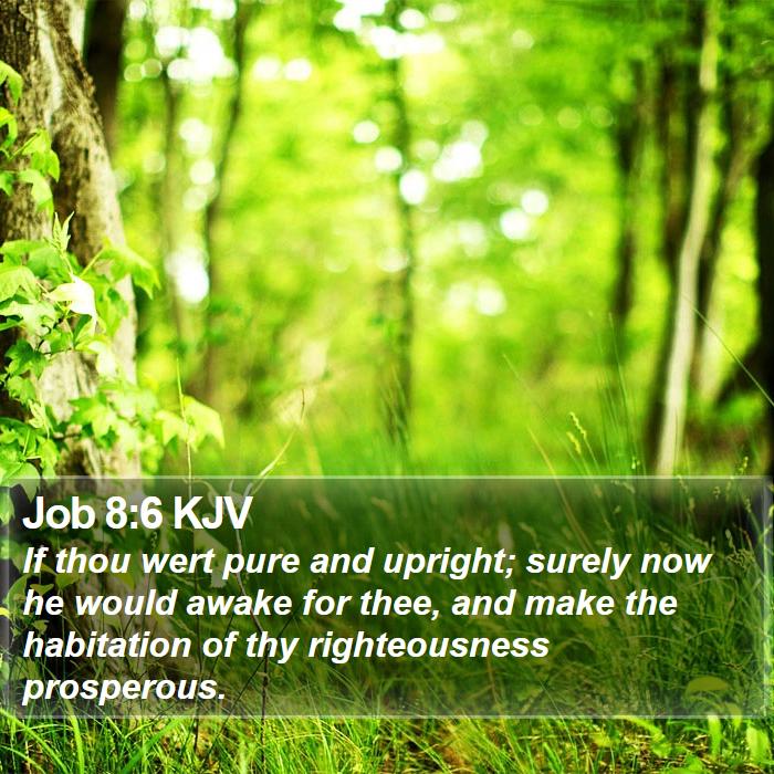 Job 8:6 KJV Bible Study