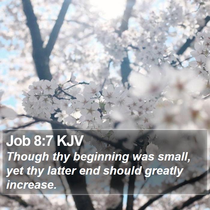 Job 8:7 KJV Bible Study