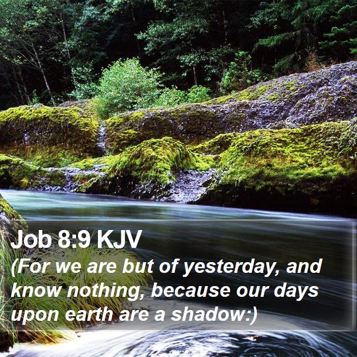 Job 8:9 KJV Bible Study