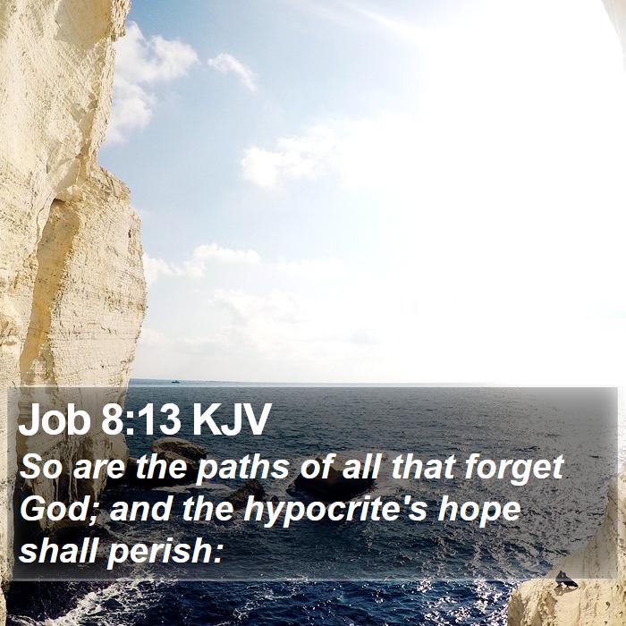 Job 8:13 KJV Bible Study