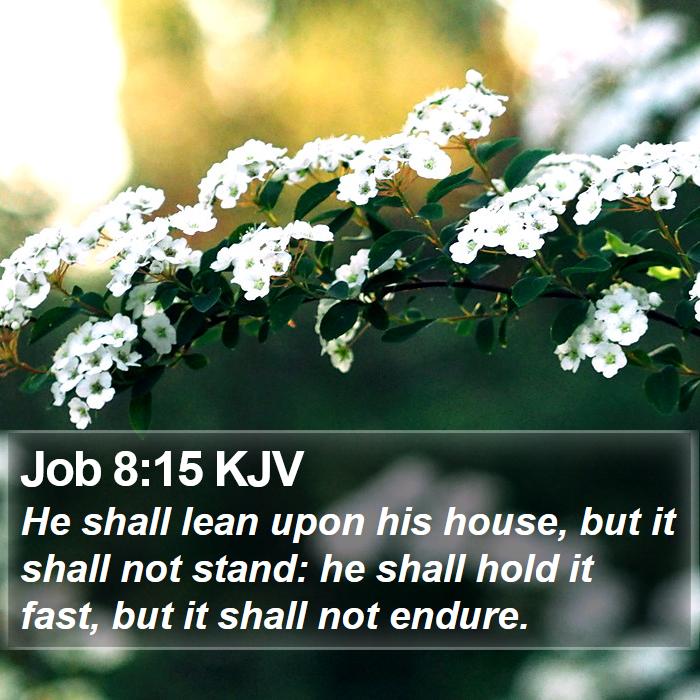 Job 8:15 KJV Bible Study