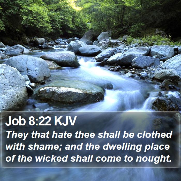 Job 8:22 KJV Bible Study