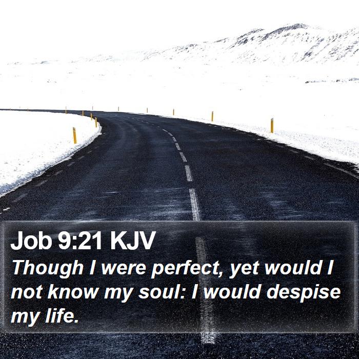 Job 9:21 KJV Bible Study