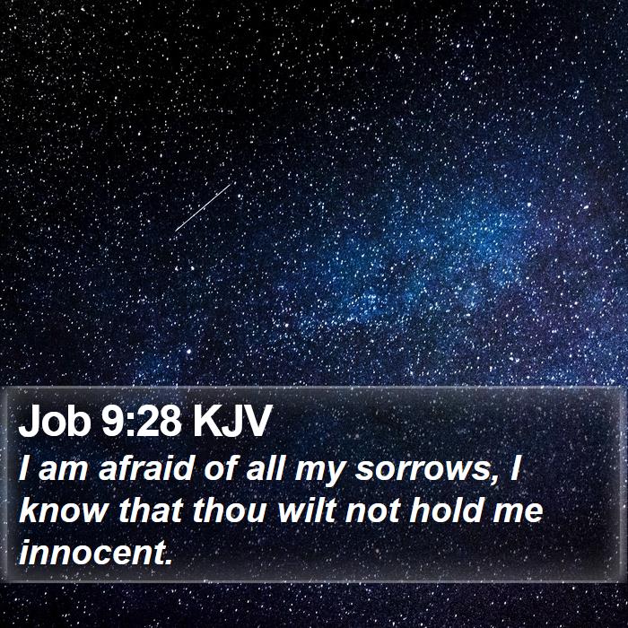 Job 9:28 KJV Bible Study