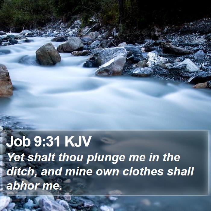 Job 9:31 KJV Bible Study