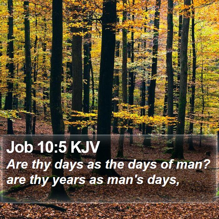 Job 10:5 KJV Bible Study