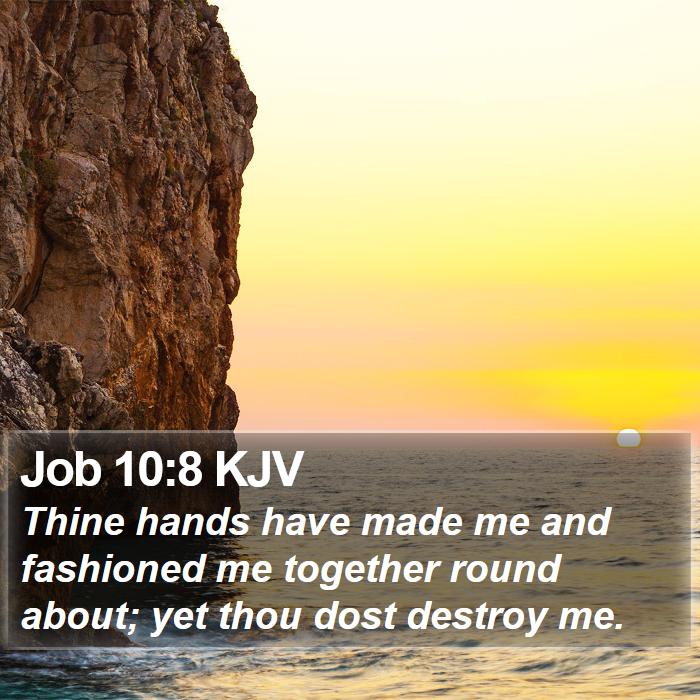 Job 10:8 KJV Bible Study