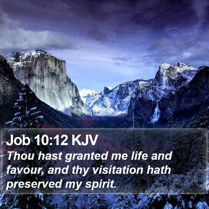 Job 10:12 KJV Bible Study