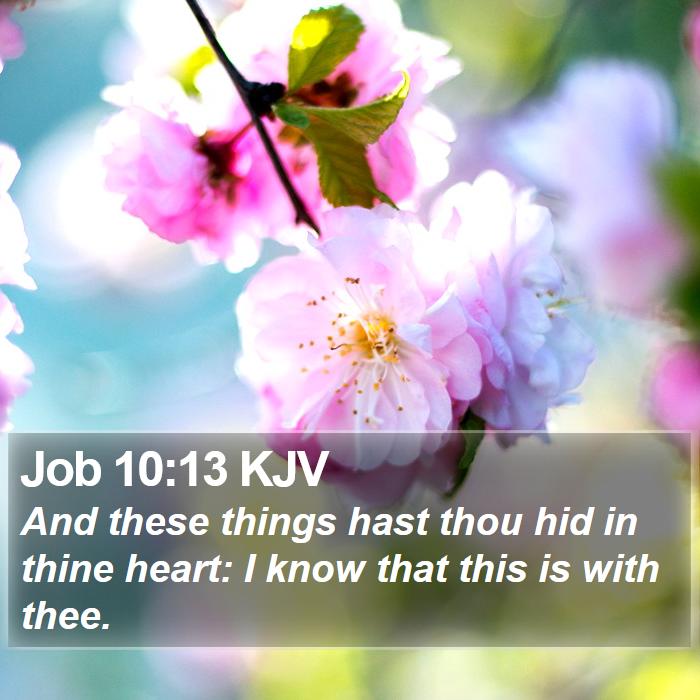 Job 10:13 KJV Bible Study