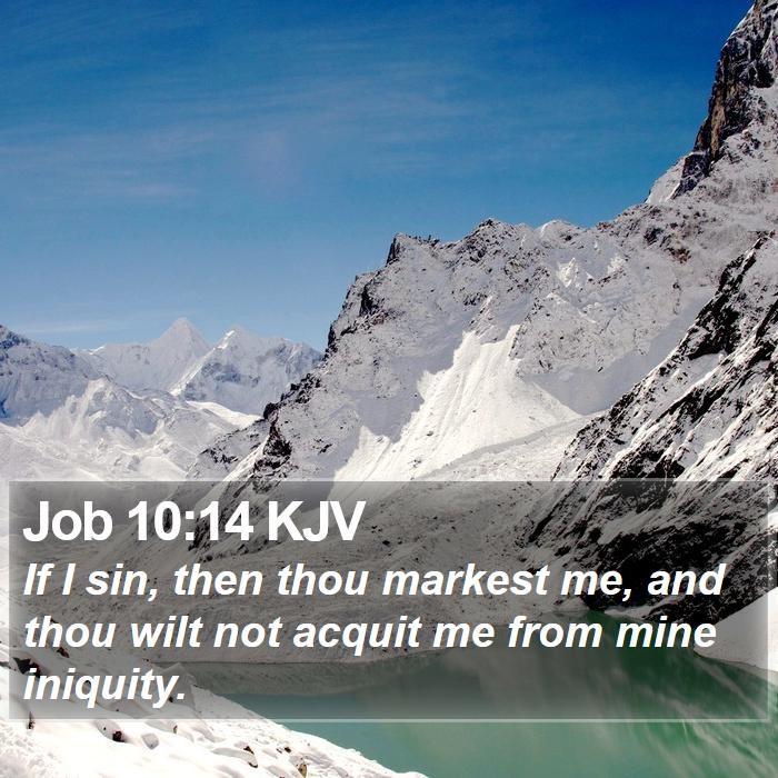 Job 10:14 KJV Bible Study