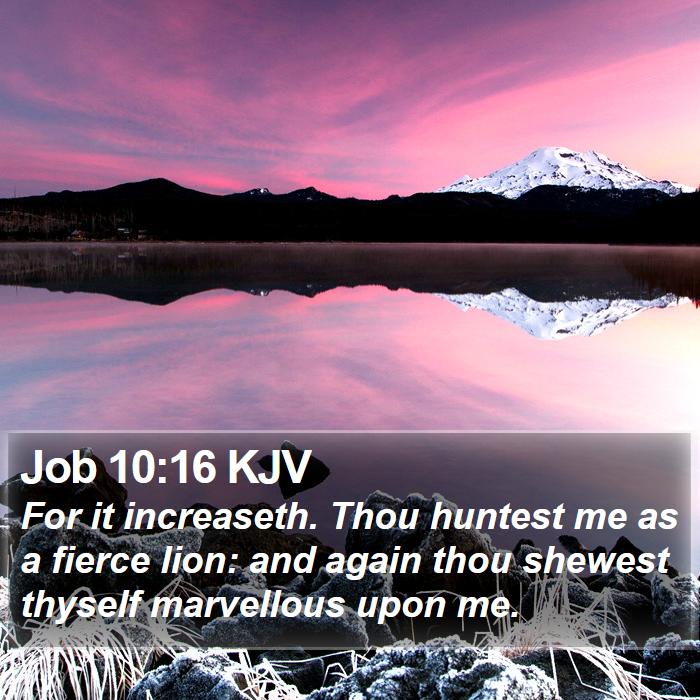 Job 10:16 KJV Bible Study