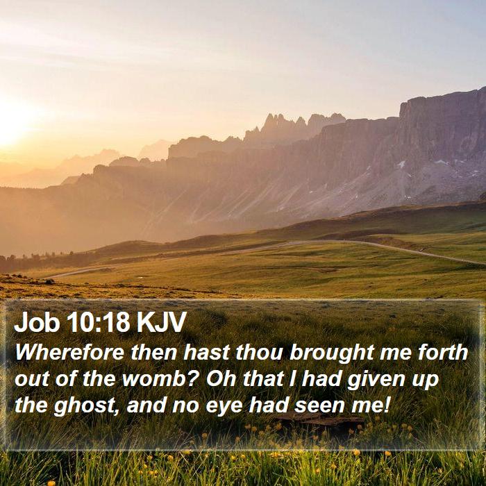 Job 10:18 KJV Bible Study