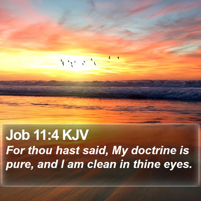 Job 11:4 KJV Bible Study